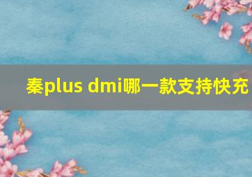 秦plus dmi哪一款支持快充